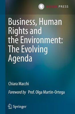 Business, Human Rights and the Environment: The Evolving Agenda