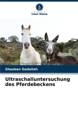 Ultraschalluntersuchung des Pferdebeckens