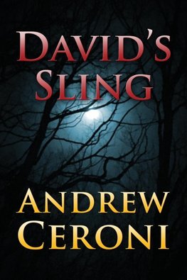 DAVID'S SLING