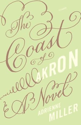 The Coast of Akron