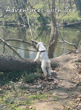 Adventures with Zoé