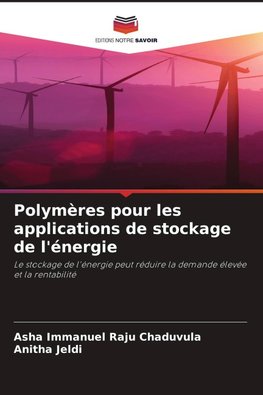 Polymères pour les applications de stockage de l'énergie