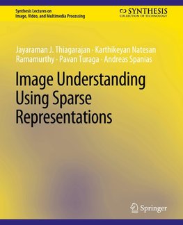 Image Understanding using Sparse Representations