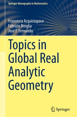 Topics in Global Real Analytic Geometry