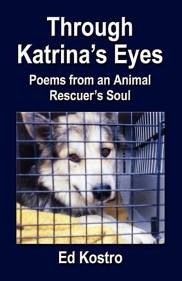 THROUGH KATRINA'S EYES