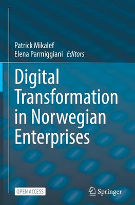 Digital Transformation in Norwegian Enterprises