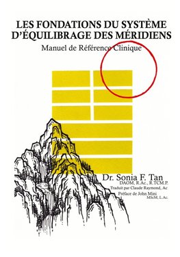 Les fondations du Système d'Équilibrage des Méridiens