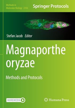 Magnaporthe oryzae