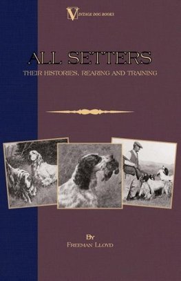 All Setters