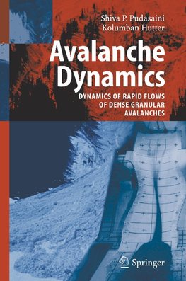 Avalanche Dynamics