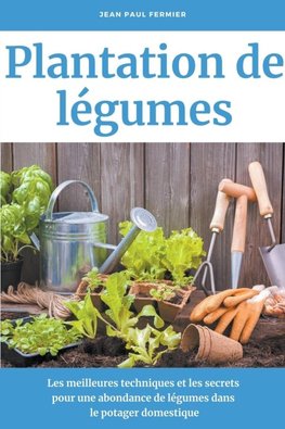 Plantation de légumes