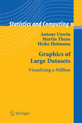 Graphics of Large Datasets