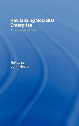 Revitalizing Socialist Enterprise