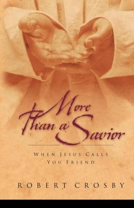 More than a Savior