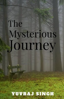 The mysterious journey