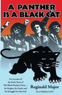 Panther Is a Black Cat