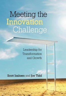 Meeting the Innovation Challenge