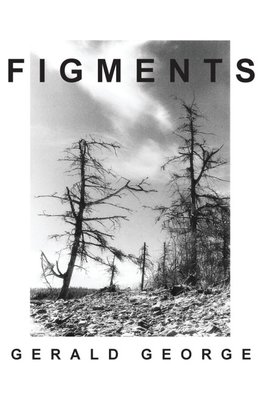Figments
