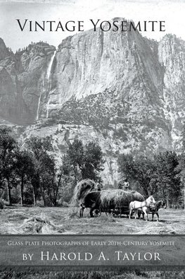 Vintage  Yosemite