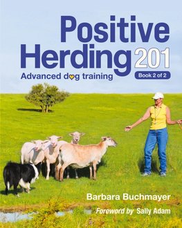 Positive Herding 201