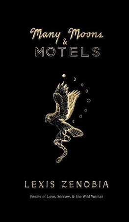 Many Moons & Motels