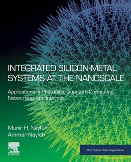 Integrated Silicon-Metal Systems at the Nanoscale