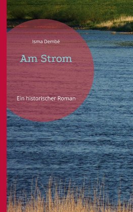 Am Strom
