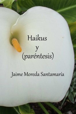 Haikus y (paréntesis)