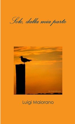 Solo, dalla mia parte