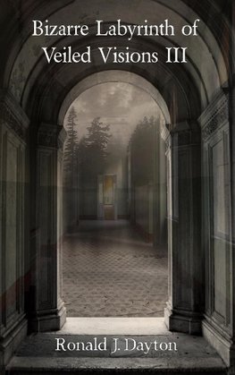 Bizarre Labyrinth of Veiled Visions III