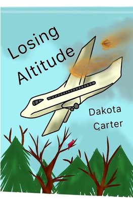 Losing Altitude