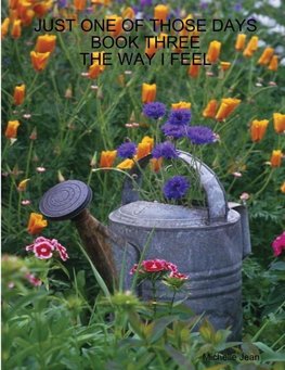 JUST ONE OF THOSE DAYS BOOK THREE - THE WAY I FEEL