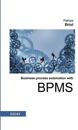 Business process automation with BPMS