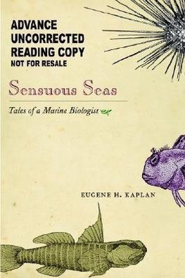 Sensuous Seas