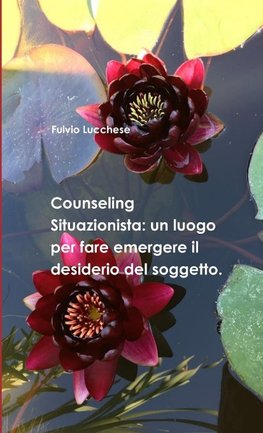 Counseling Situazionista