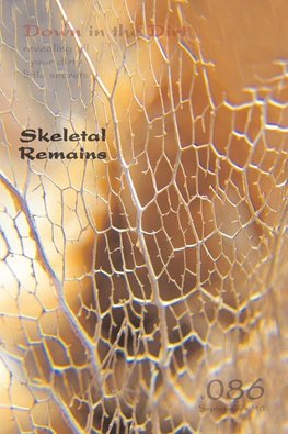 Skeletal Remains (Down in the Dirt v086)