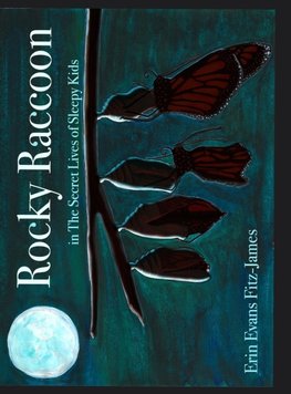 Rocky Raccoon