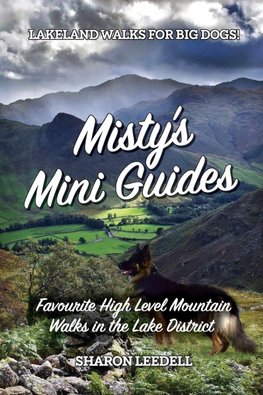 Misty's Mini Guides