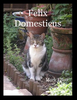 Felix Domesticus