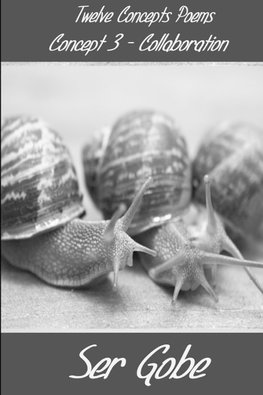 Concept 3 - Collaboration