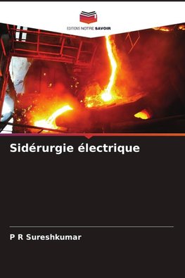Sidérurgie électrique