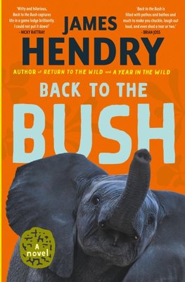 Back to the Bush