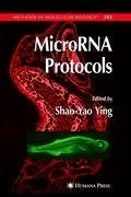 MicroRNA Protocols