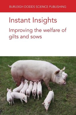 Instant Insights