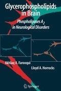 Glycerophospholipids in the Brain