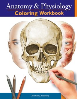 Anatomy and Physiology Coloring Workbook
