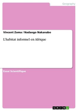 L'habitat informel en Afrique