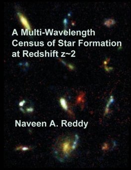 A Multi-Wavelength Census of Star Formation at Redshift z~2