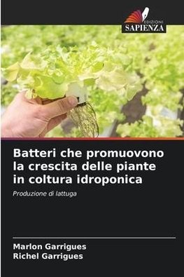 Batteri che promuovono la crescita delle piante in coltura idroponica