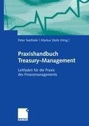 Praxishandbuch Treasury Management